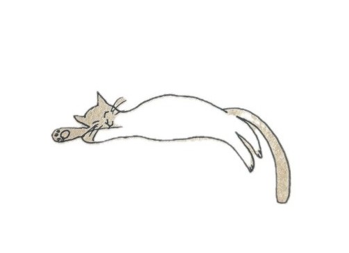 エステのイメージ